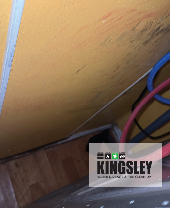 Emergency water cleanup on Ladys Island