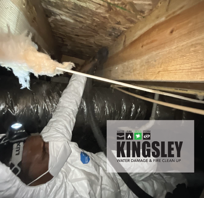 Mold remediation crawl space cleanup