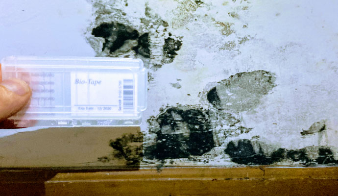 Structural mold infestation all across wall with hand holding up bio tape test kit collecting a sample to run tests on