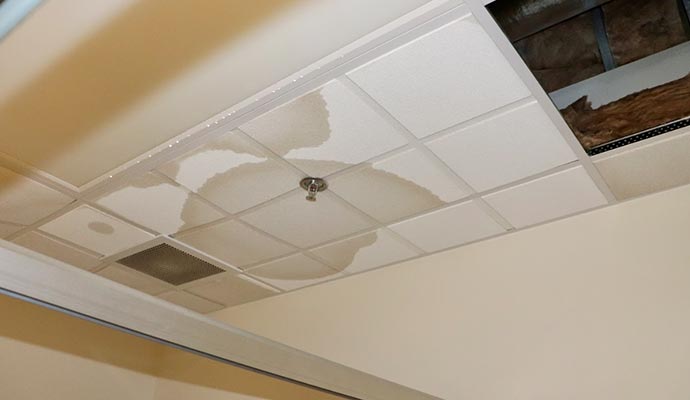 Roof water damage
