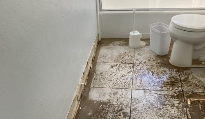 Sewage removal