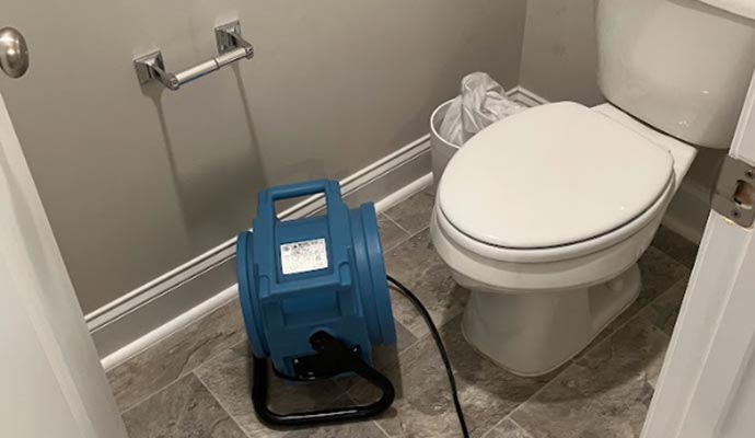 Toilet overflow
