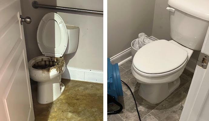 Toilet overflow