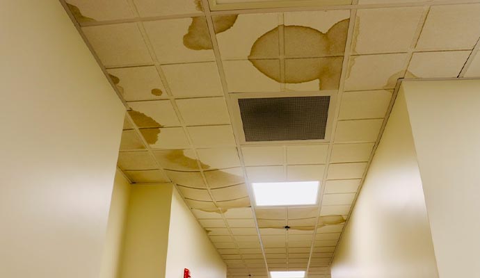 Roof leak