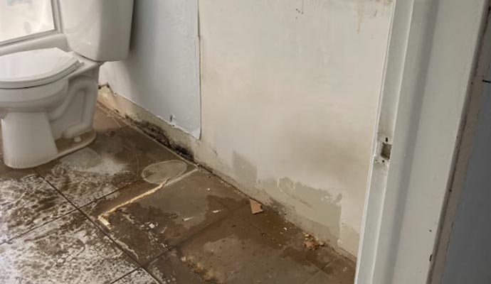 Sewage removal