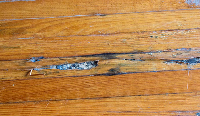 Wooden floor damage