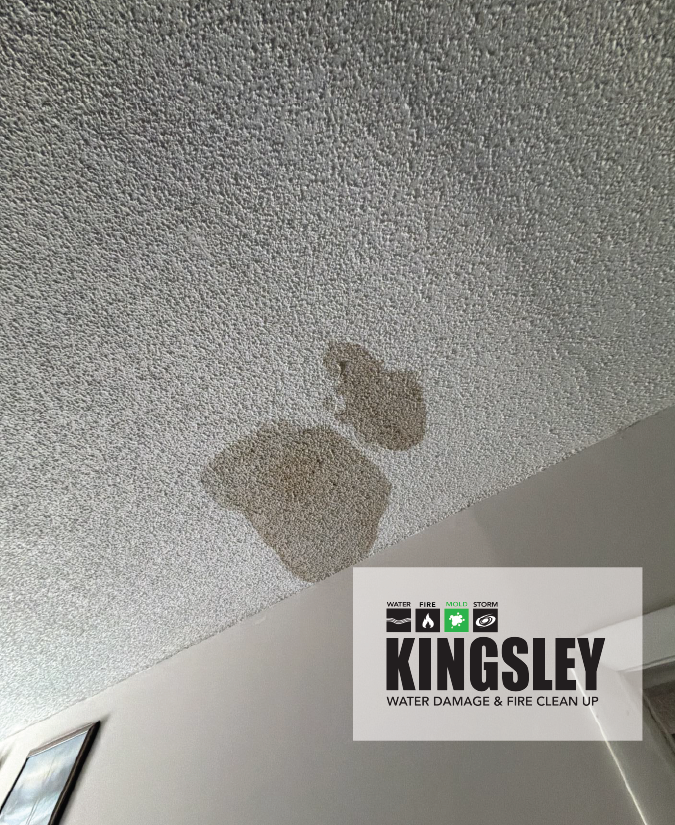 Mold clean up in Columbia 