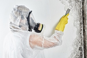 a mold remediation specialist removing mold from a white wall