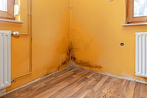 mold in the corner of a home that will be tested and remediated