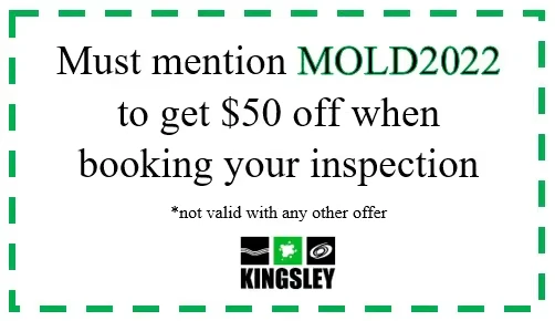 Mold 2022 coupon image
