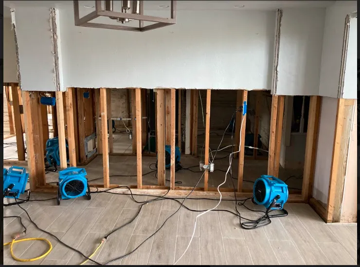 Mold Removal in Columbia